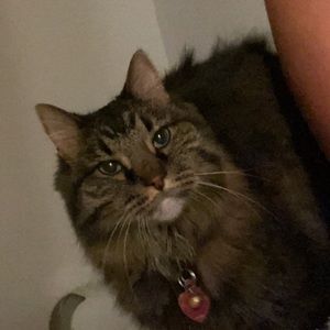 Meet your Posher, Grace